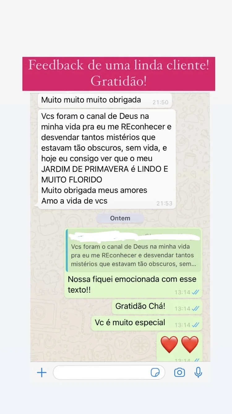 Mensagem de cliente agradecendo pela consultoria, print 9 de 24