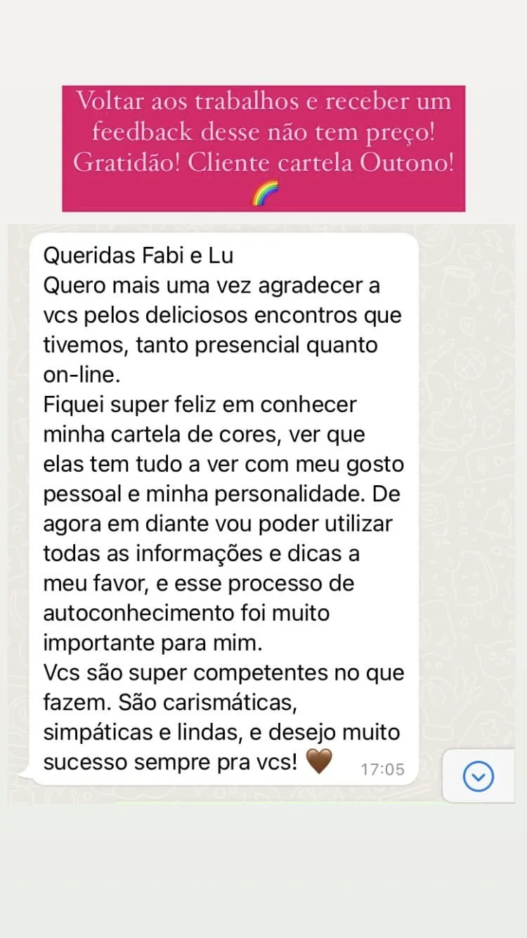 Mensagem de cliente agradecendo pela consultoria, print 13 de 24